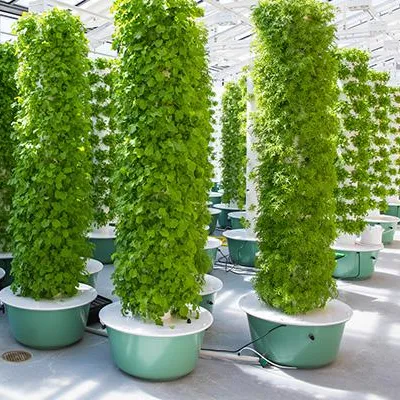 Hydroponic Tower - Aeroponics-torenkweeksystemen met verlichting, 60 planten, aeroponisch