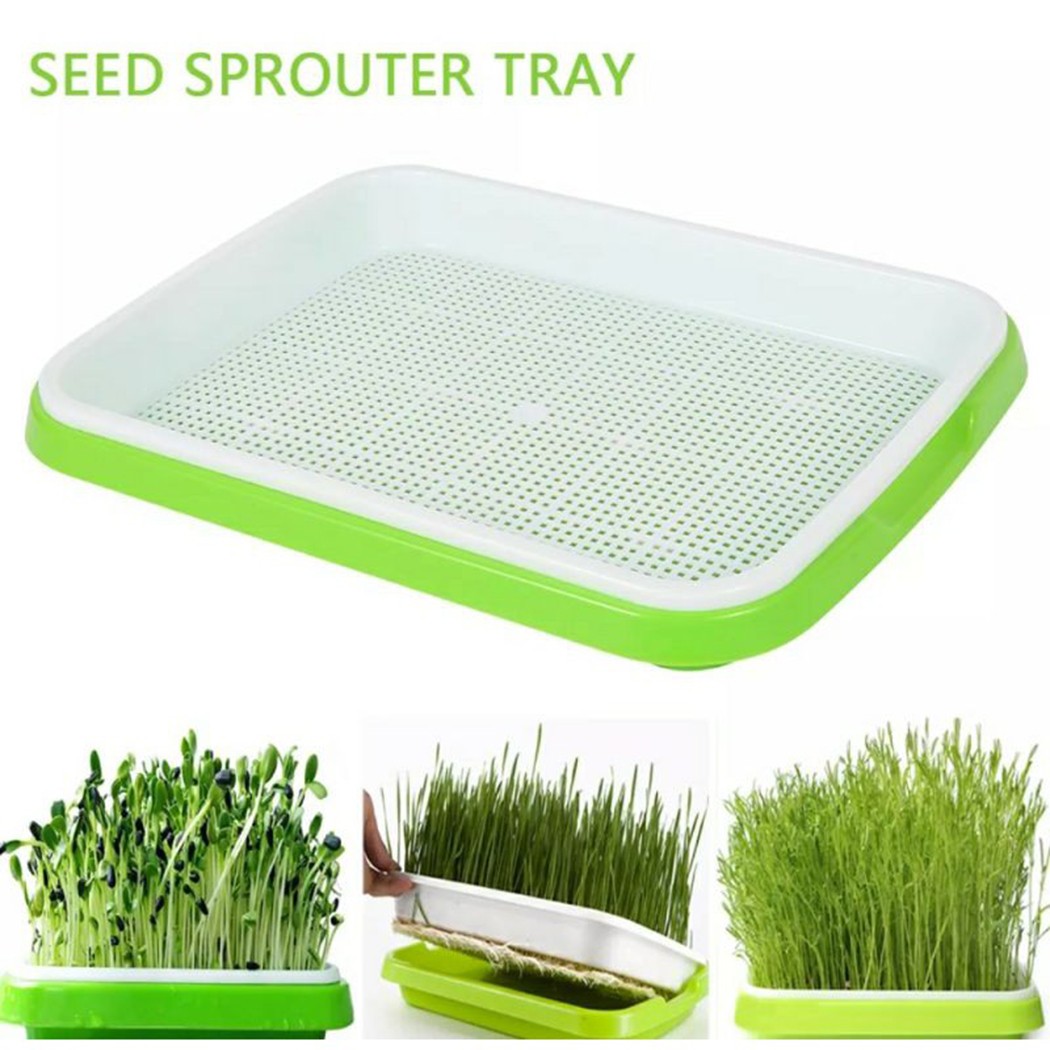 Hydroponic Grow Pod - Microgreens Kiembak Hydrocultuur / Kiembak voor