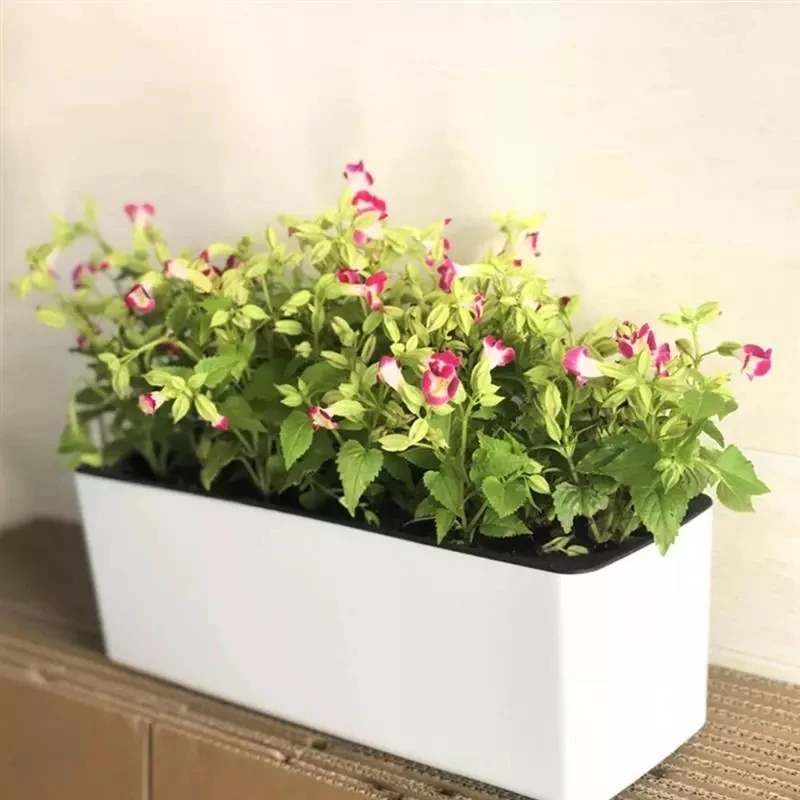 Hydroponic Grow Pod - Rechthoekige Luie Bloempot Ingemaakte Hydrocultuur Plastic