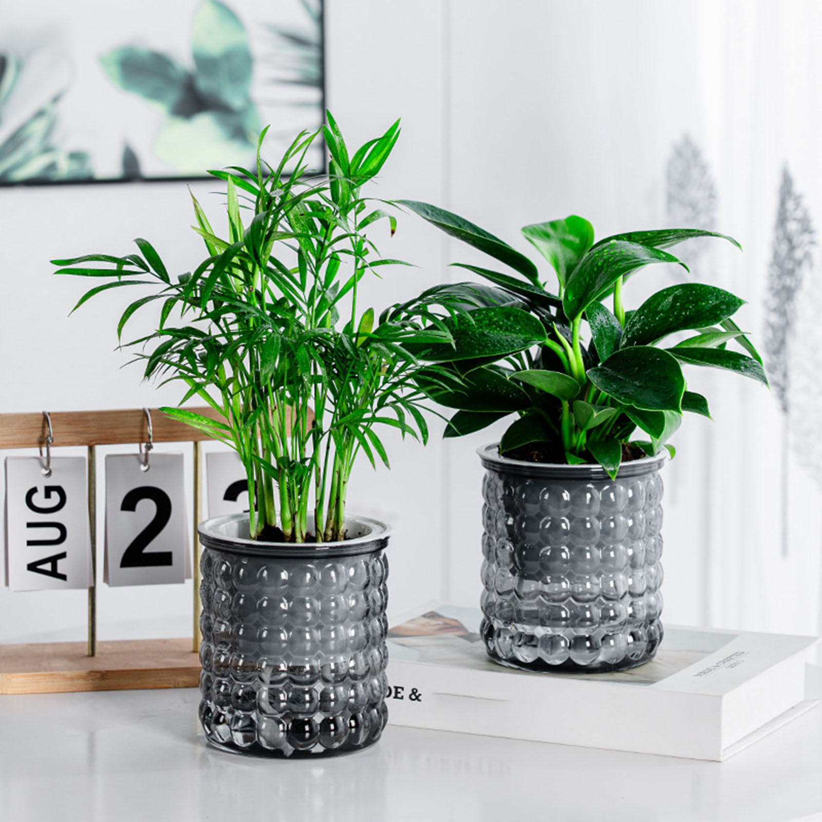 Hydroponic Grow Pod - Nieuwe Zelf Watering Hydrocultuur Planten Pot