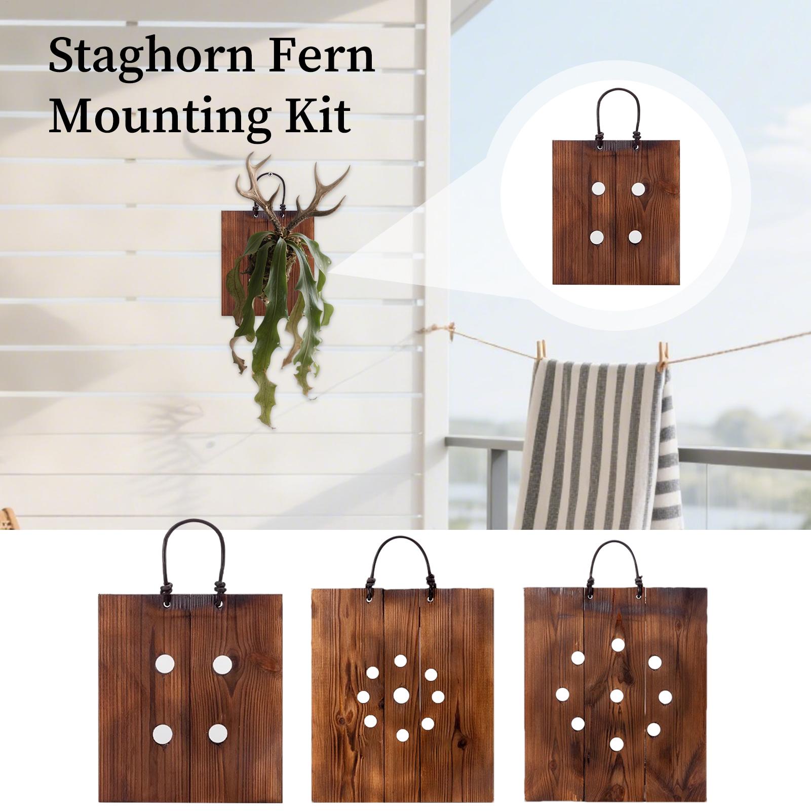 Indoor Garden Kit - Staghorn Fern Wandmontagebord Houten Plantenbakset met