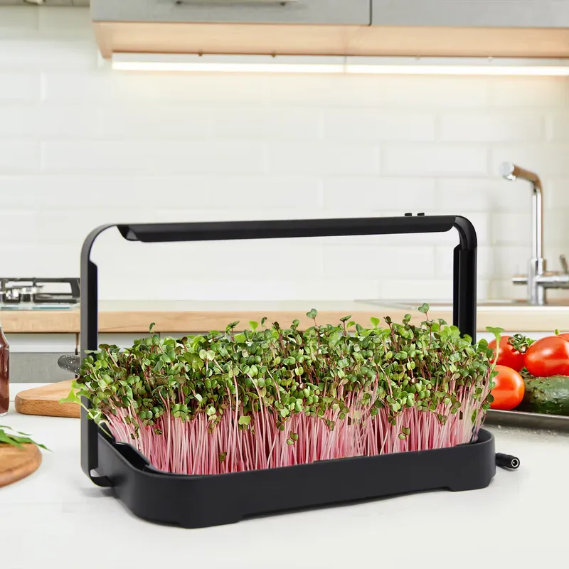 Smart Garden Kit - Hydroponische Bak Indoor Microgreen Microgreen Zaden