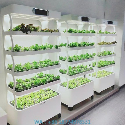 Grow Light Led - Hydrocultuur geautomatiseerd kweeksysteem Intelligent hydrocultuur kweeksysteem