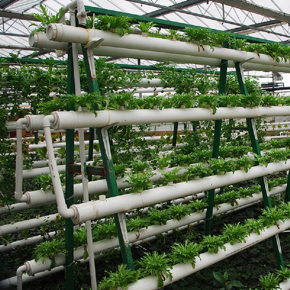 Fabrikant Grondloze Teeltappar - Hydroponic Tower recensie en prijs