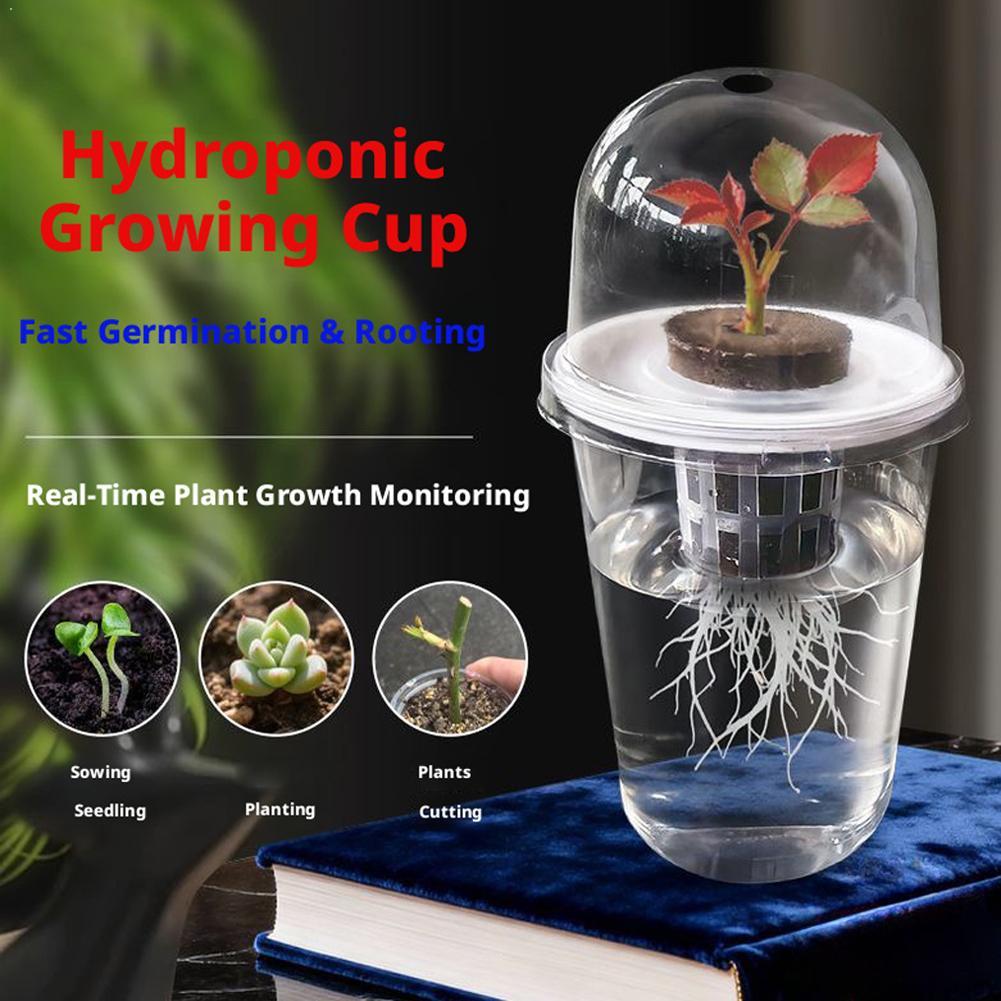 Planten van groentezaailingen  - Hydroponic Tower recensie en prijs