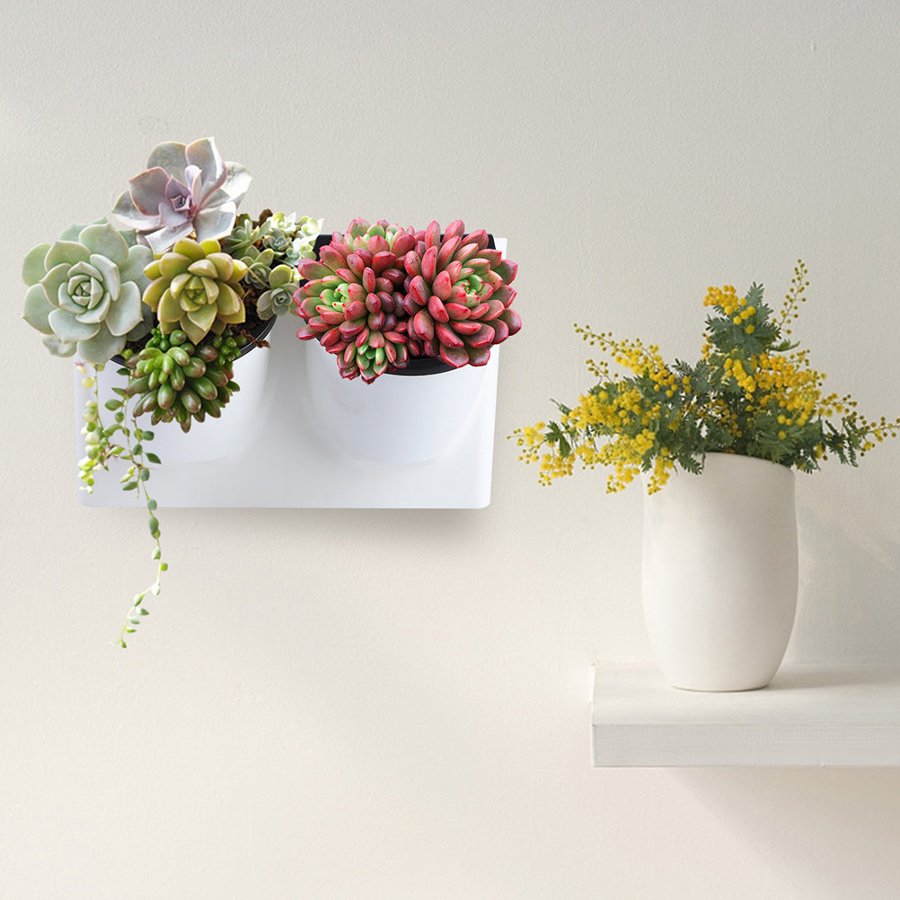 Zelfwaterende bloempot van pla - Self Watering Planter recensie en prijs