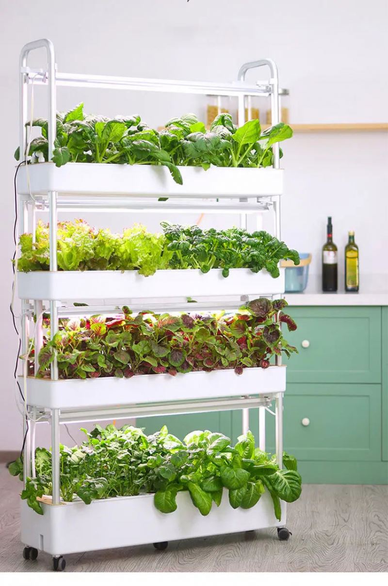 Verticale hydrocultuurtoren vo - Hydroponic Tower recensie en prijs