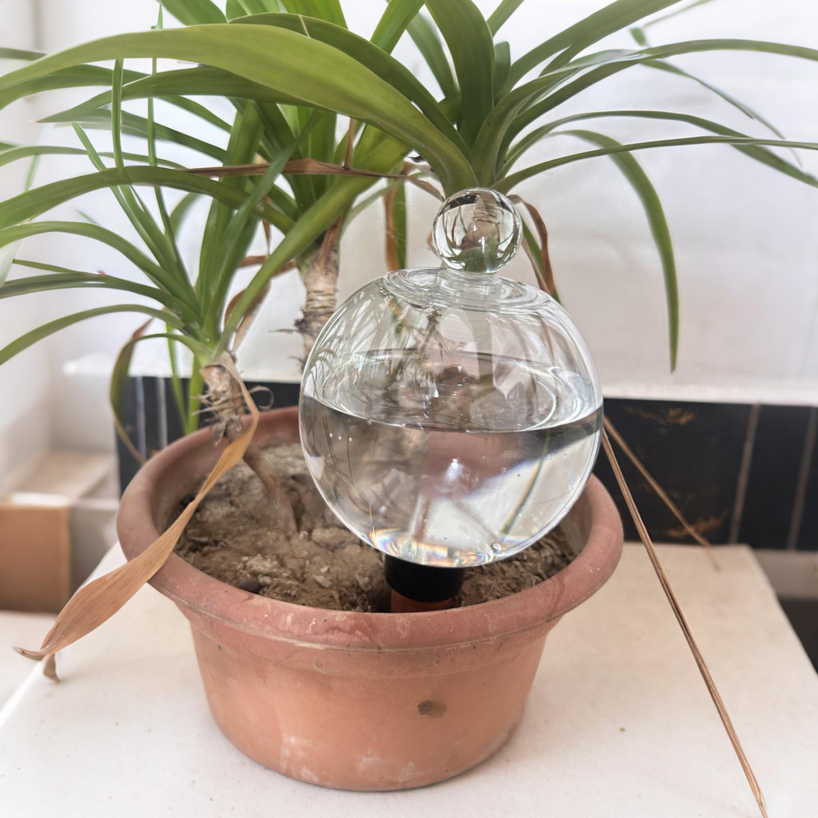 Plantenbewateringsbollen 4 stu - Plant Sensor recensie en prijs