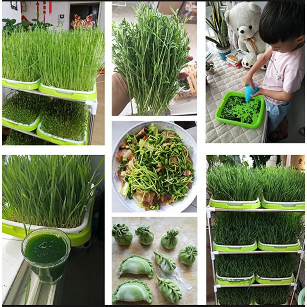 Microgreens Kiembak Hydrocultu - Hydroponic Grow Pod recensie en prijs