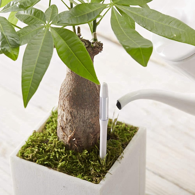 Aquameter, 5 stuks, plantenbod - Plant Sensor recensie en prijs