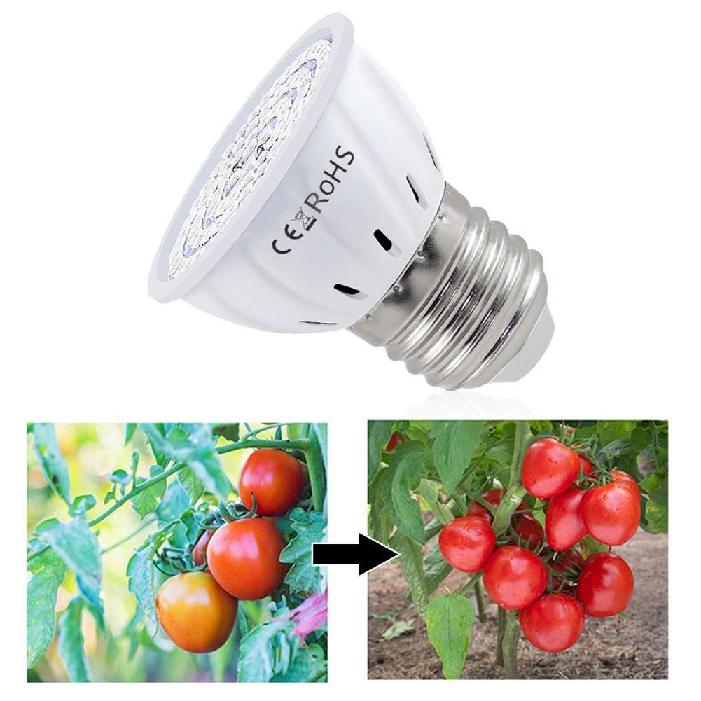 LED Grow Lamp E27 60 80LEDs Vo - Plant Grow Light Full Spectrum recensie en prijs