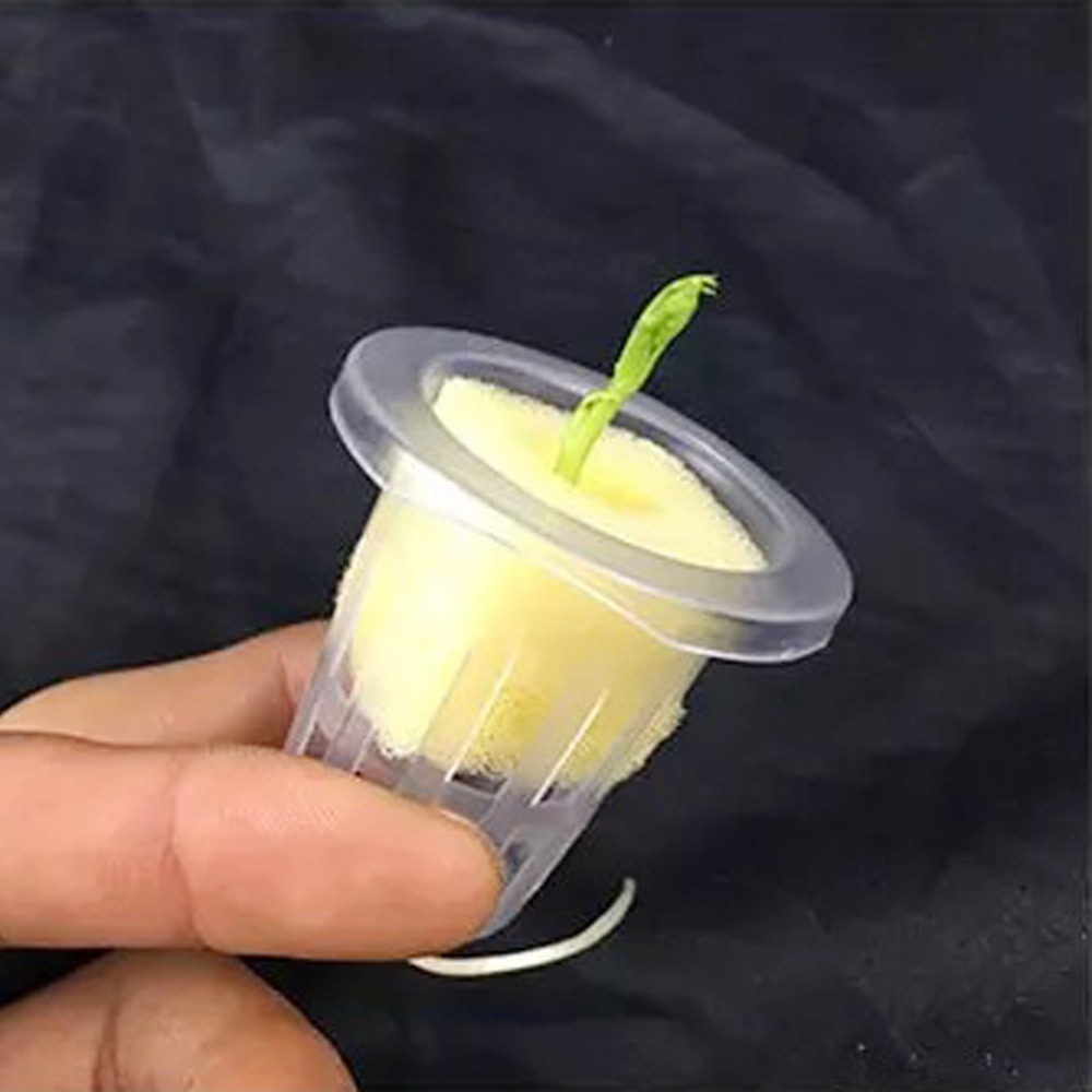 10 Stuks Hydrocultuur Mesh Cup - Hydroponic Grow Pod recensie en prijs