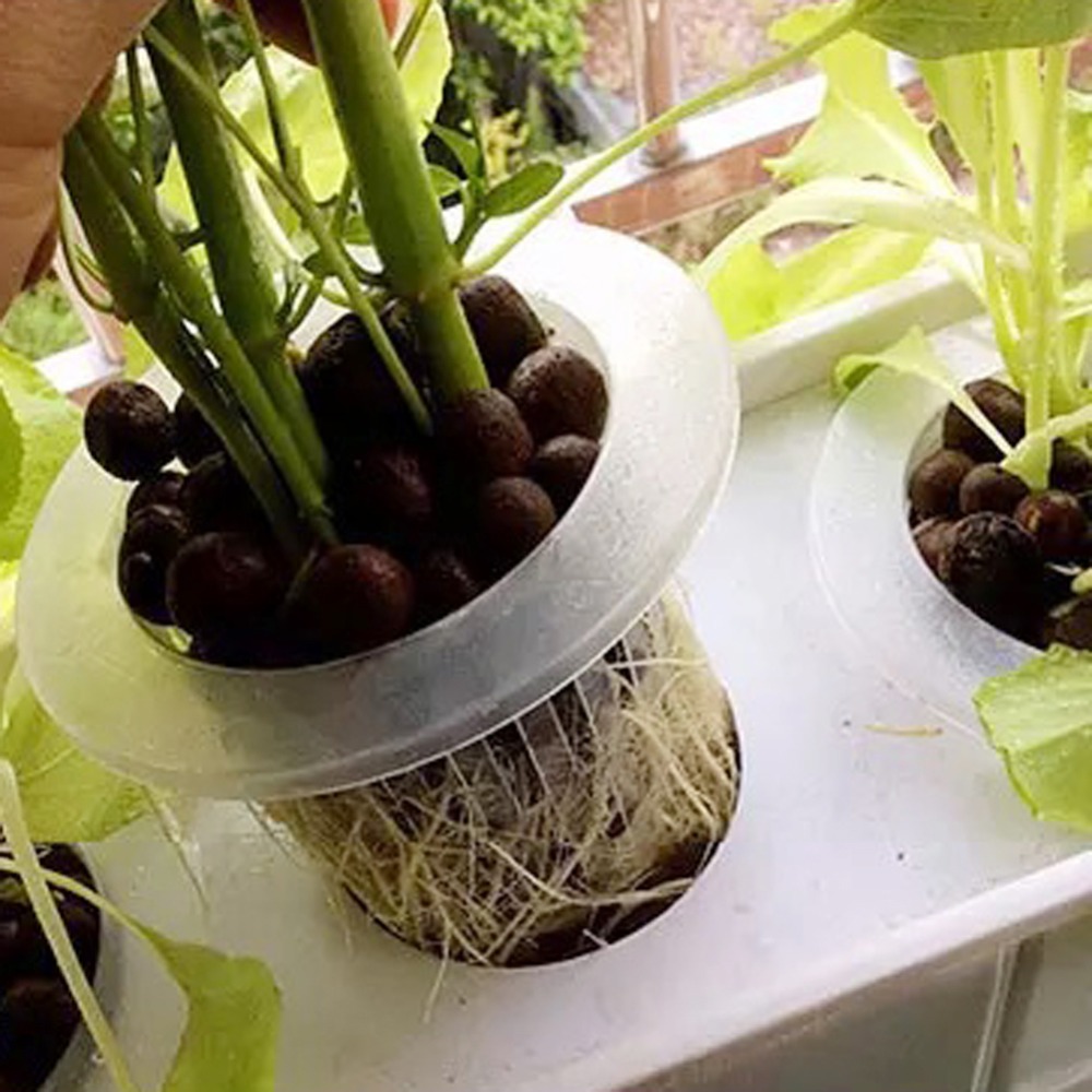 10 Stuks Hydrocultuur Mesh Cup - Hydroponic Grow Pod recensie en prijs