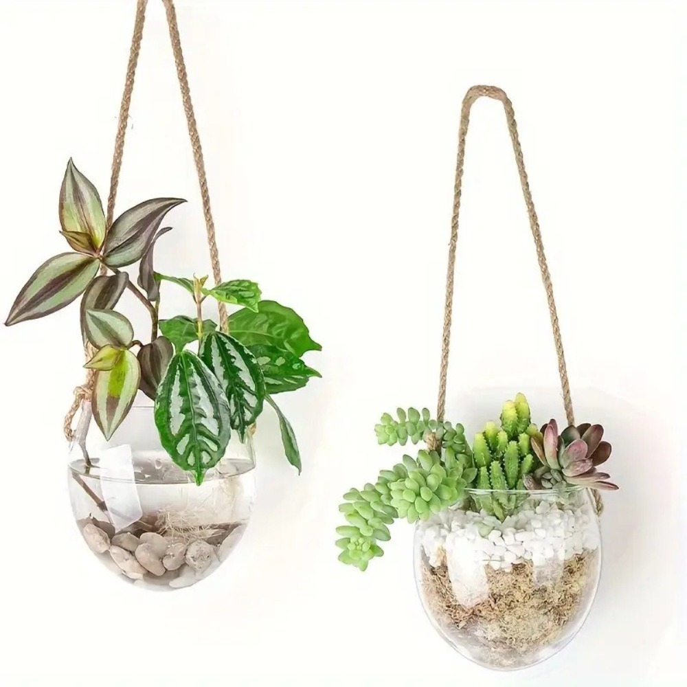Transparante hydrocultuur hang - Hydroponic Grow Pod recensie en prijs
