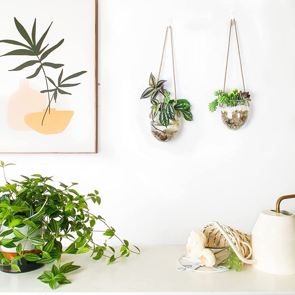 Transparante hydrocultuur hang - Hydroponic Grow Pod recensie en prijs