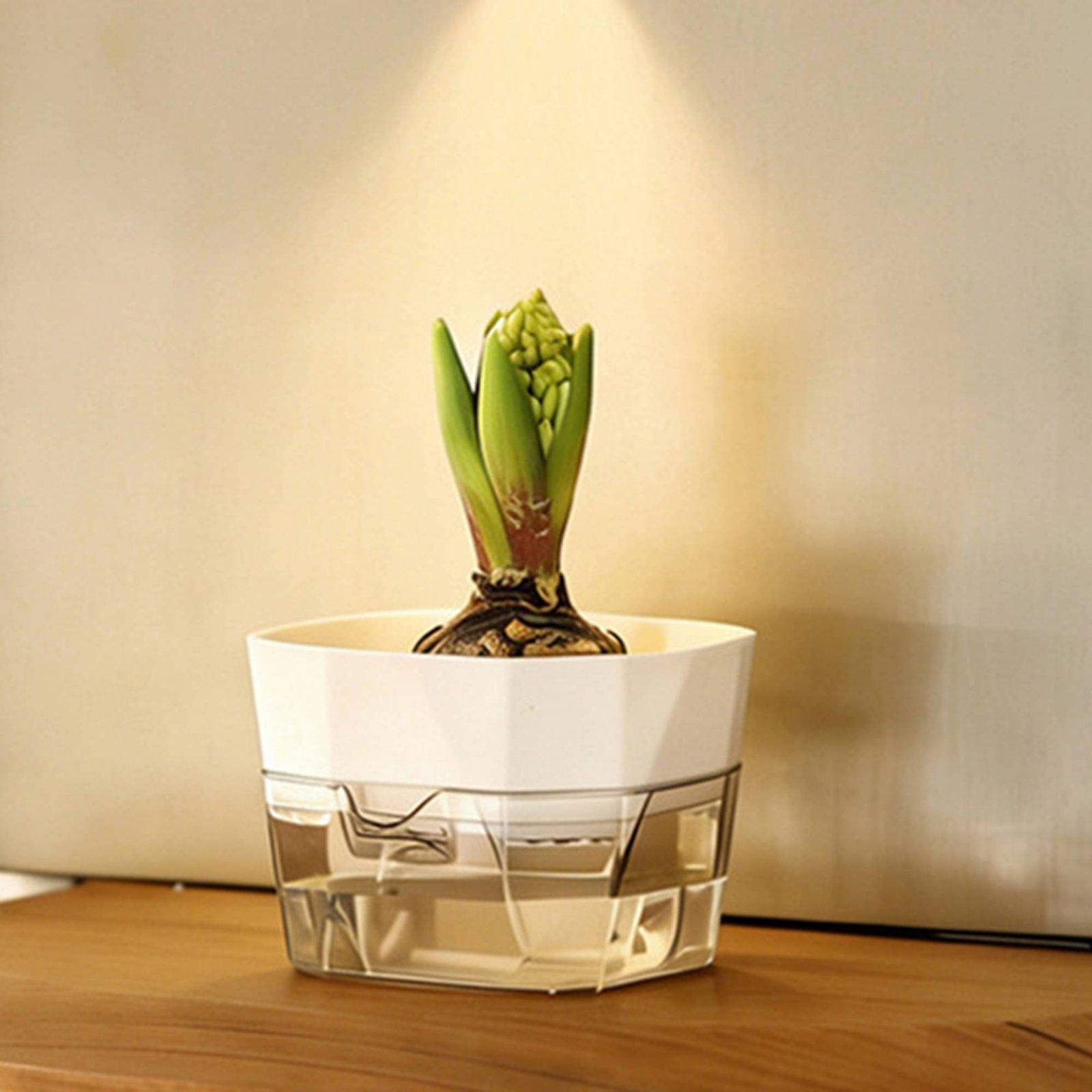 Hydroponische vaas met twee la - Self Watering Planter recensie en prijs