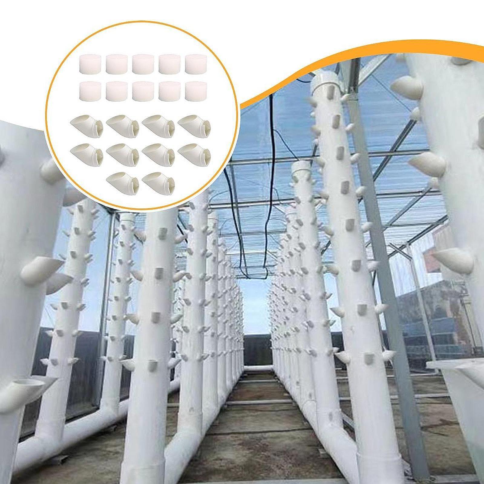 10 stuks hydroponische kolonis - Hydroponic Tower recensie en prijs