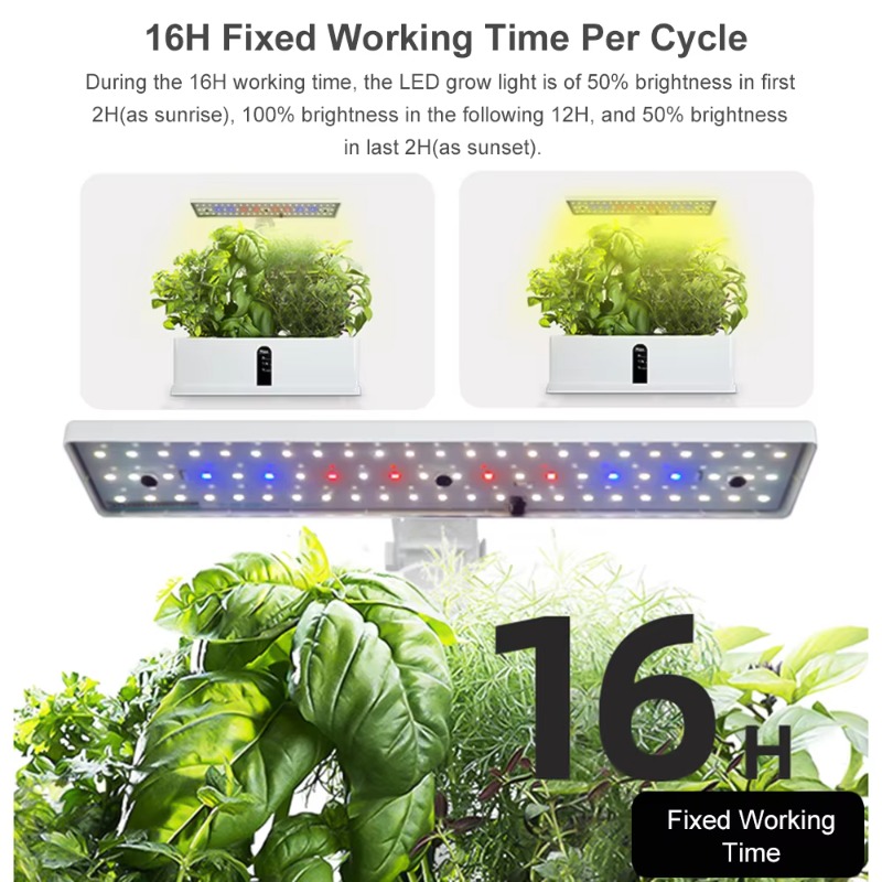 9 Pods Smart Hydroponics Kweek - Smart Garden Kit recensie en prijs