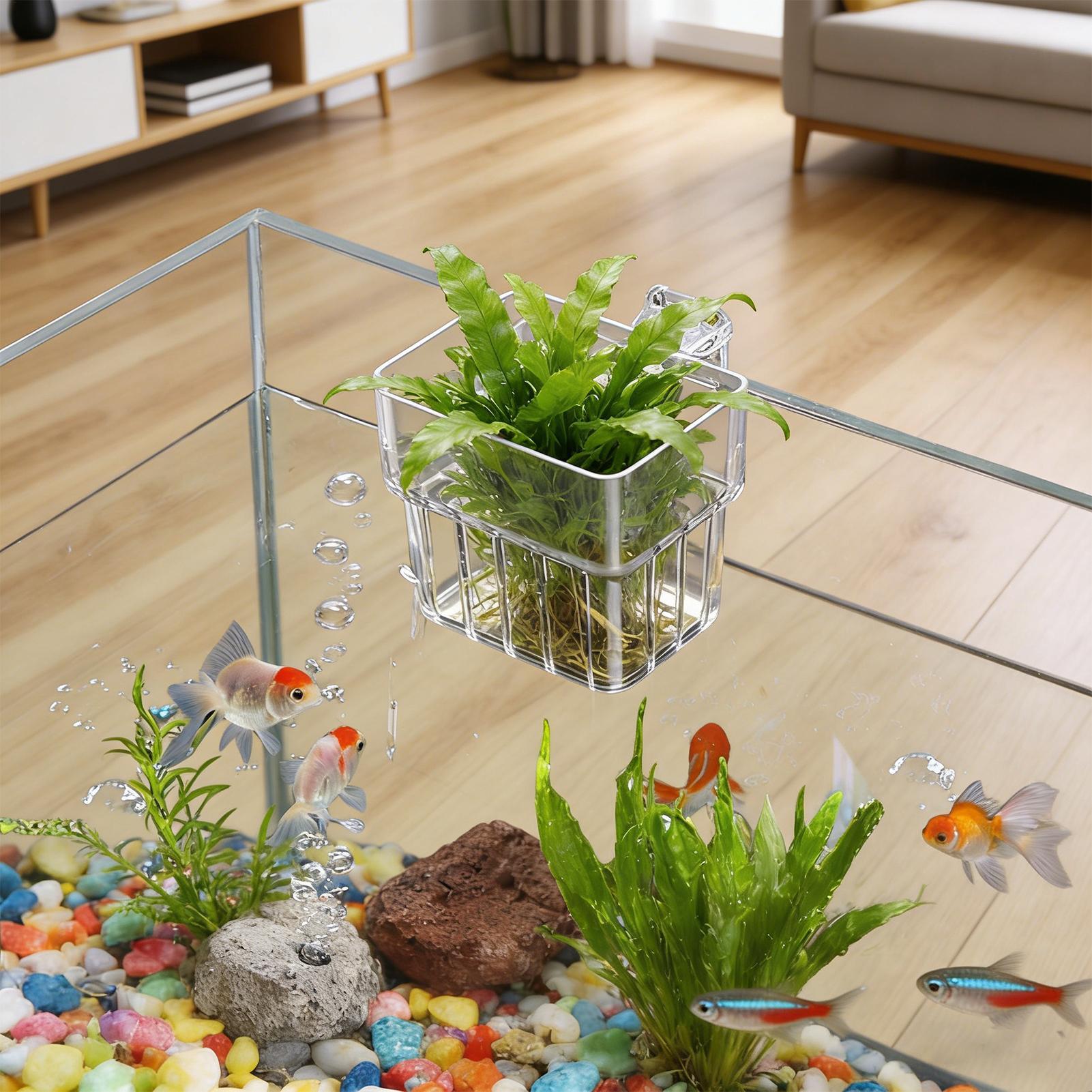 Transparante hangbare aquarium - Hydroponic Grow Pod recensie en prijs