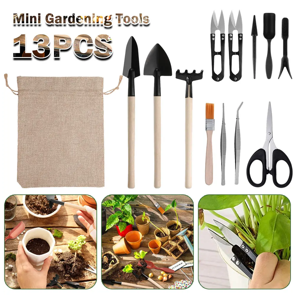 13 Stuks Sappige Planten Geree - Indoor Garden Kit recensie en prijs