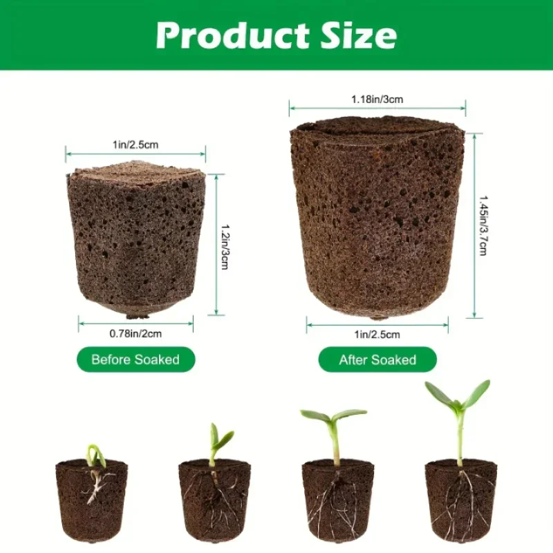 Zaailingstartset met sponsjes  - Indoor Garden Kit recensie en prijs