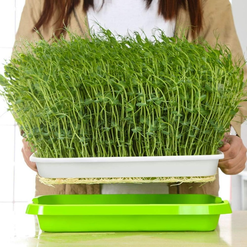 Microgreens kiembak, dubbelwan - Hydroponic Grow Pod recensie en prijs