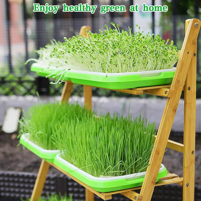 Microgreens kiembak, dubbelwan - Hydroponic Grow Pod recensie en prijs