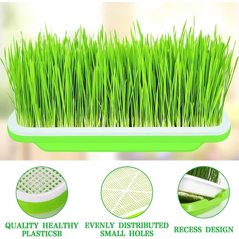 Microgreens kiembak, dubbelwan - Hydroponic Grow Pod recensie en prijs