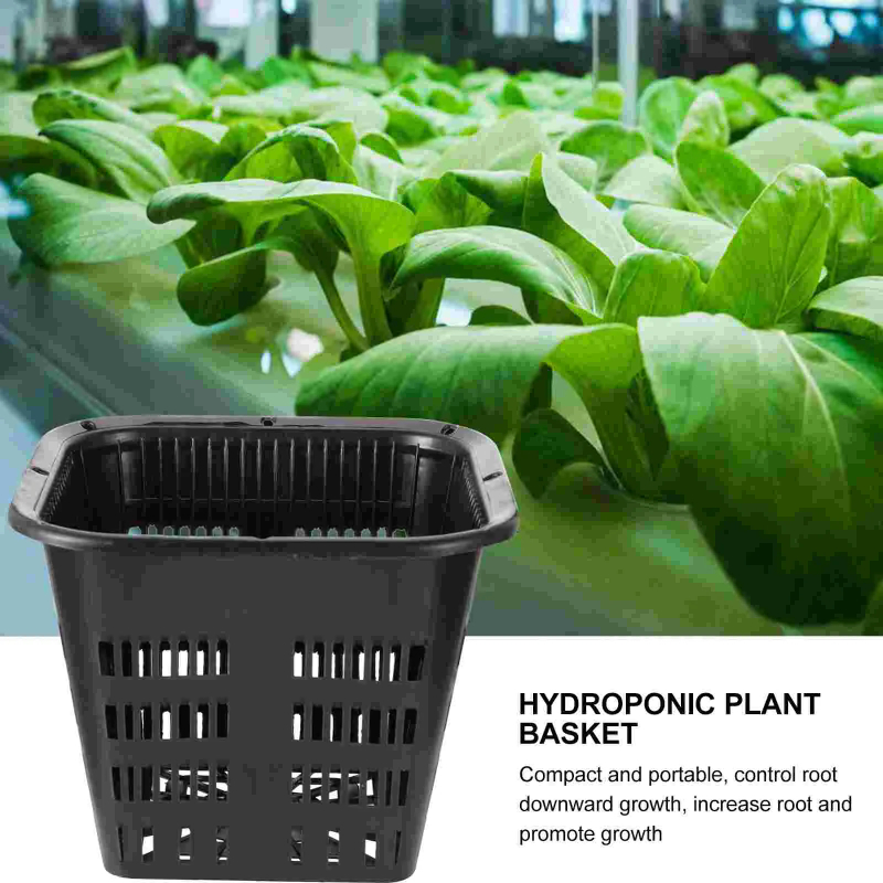 6 stuks hydroponische kweekman - Hydroponic Grow Pod recensie en prijs