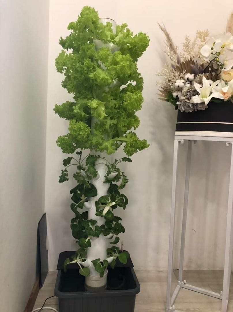 Verticale Hydroponische Kweekt - Hydroponic Tower recensie en prijs