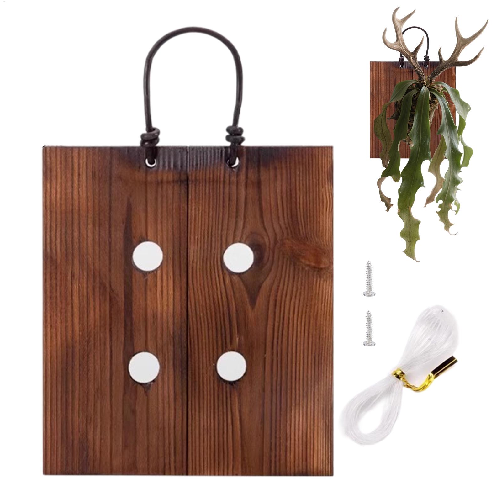 Staghorn Fern Wandmontagebord  - Indoor Garden Kit recensie en prijs