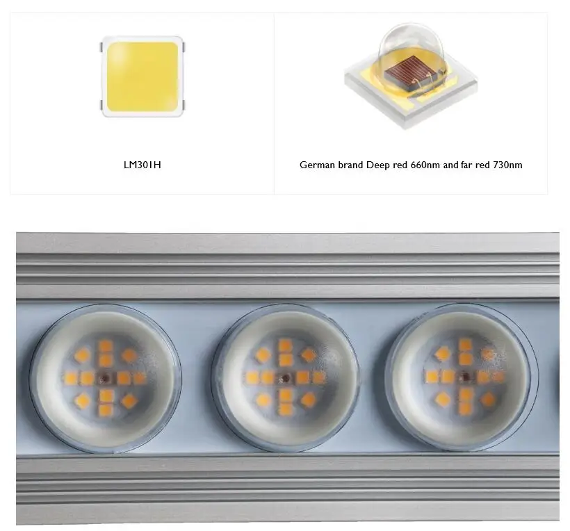 Koray 900W Indoor full spectru - Plant Grow Light Full Spectrum recensie en prijs